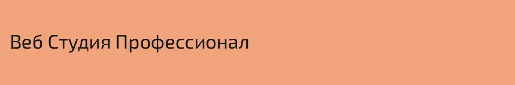 Веб Студия Профессионал